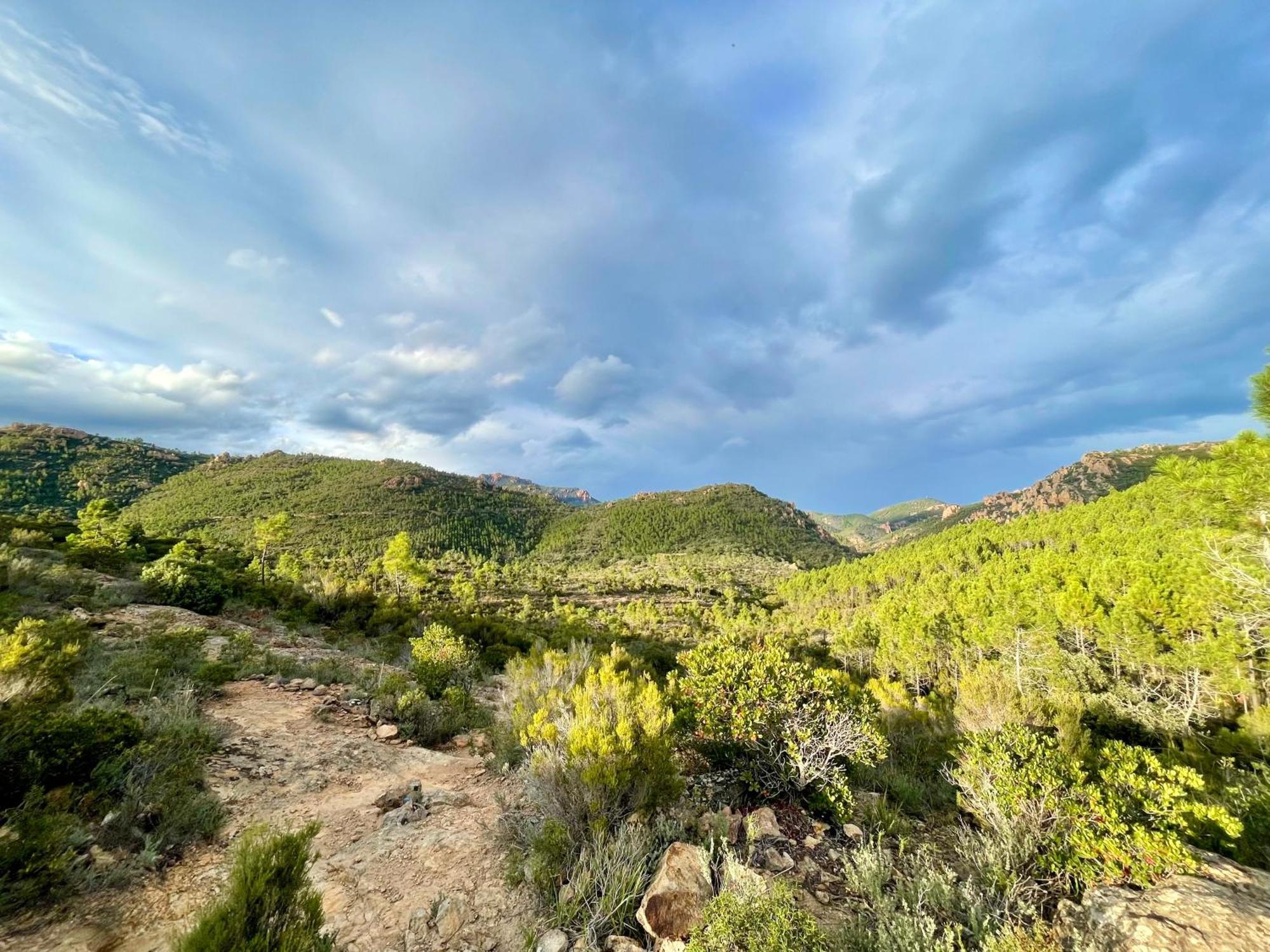Village Cap Esterel, Piscine, Plage Сен-Рафаэль Экстерьер фото